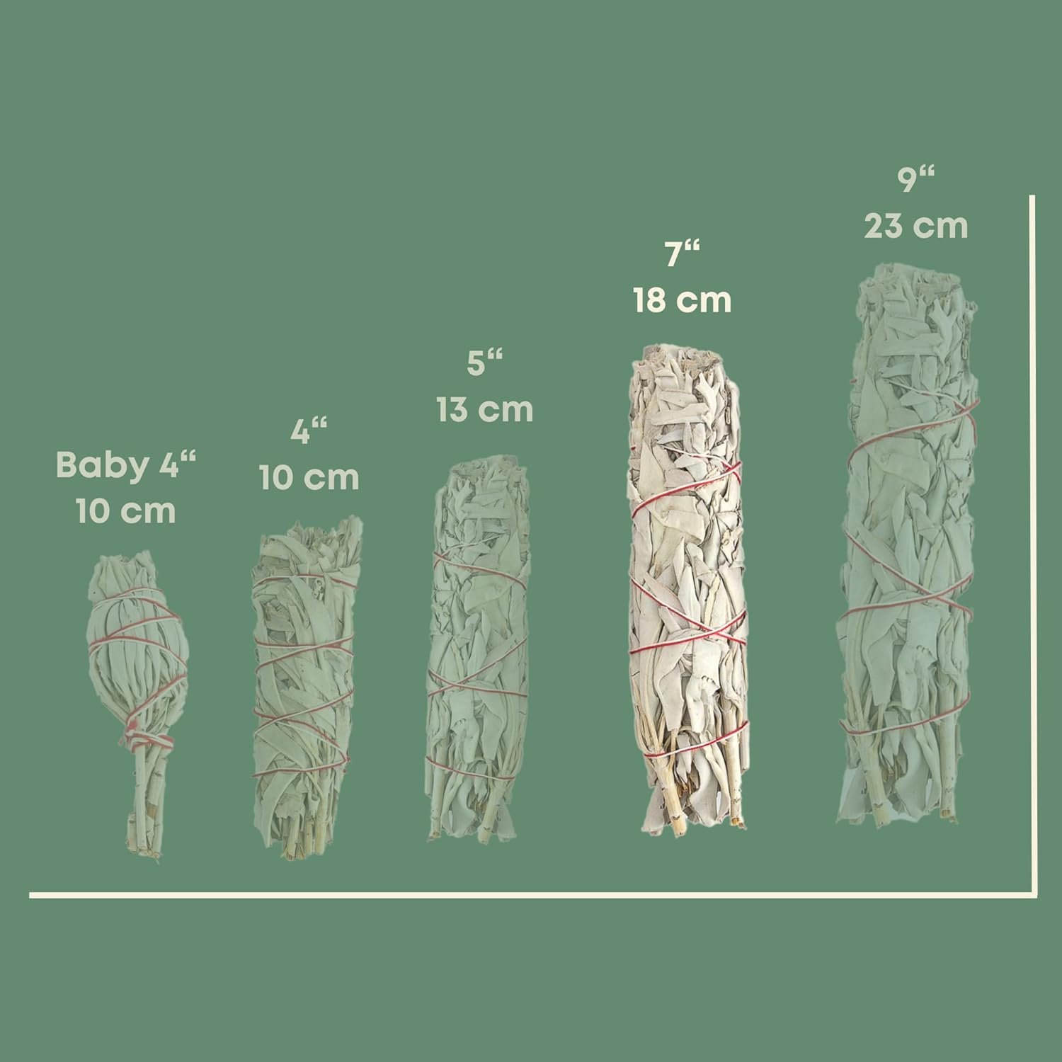 Native Spirit | Set of 12 White Sage Sticks | Approx. 18cm of Handmade Sun-Dried Leaf Incense | Fair Trade California | Energy Cleanse and Revitalization - Imagen 3