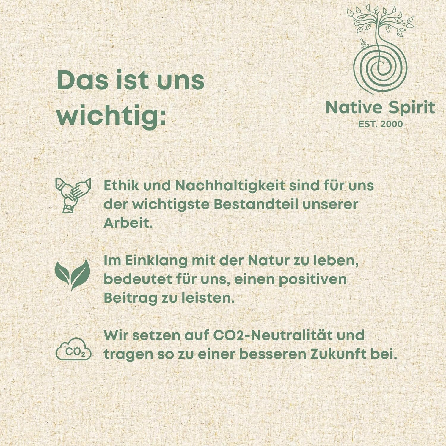 Native Spirit | Set of 12 White Sage Sticks | Approx. 18cm of Handmade Sun-Dried Leaf Incense | Fair Trade California | Energy Cleanse and Revitalization - Imagen 7